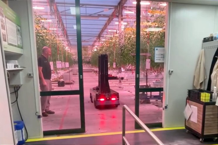 Tomatoworld zet volgende stap in robotisering