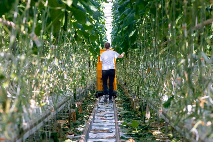 87.000 arbeidsmigranten van buiten de EU in NL