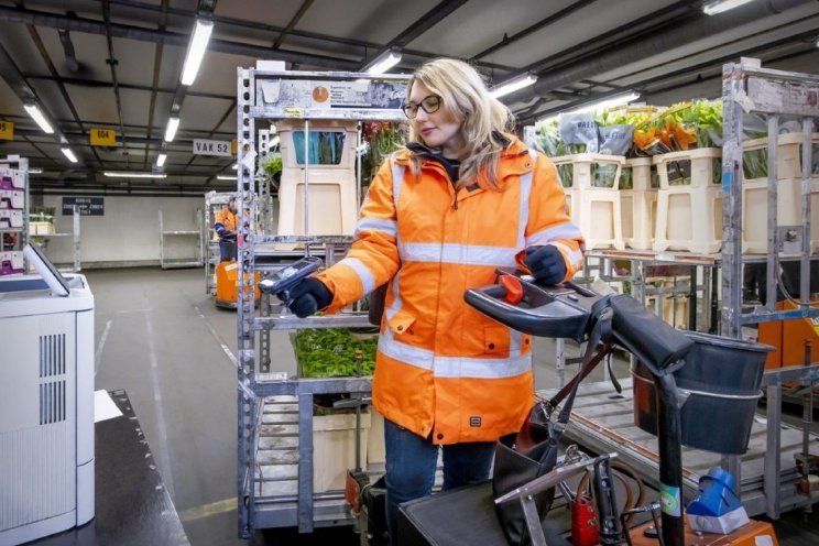 Acties dreigen bij Royal FloraHolland