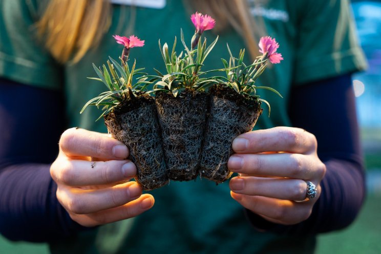 'Vertrouwd en vernieuwd' tijdens GrootGroenPlus