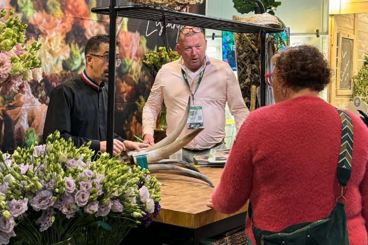 Lisianthus populairder bij Franse bloemisten