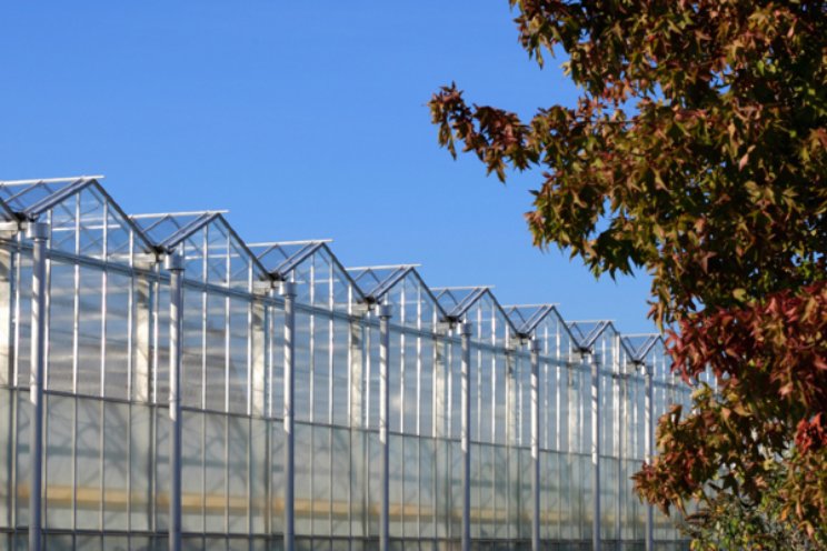 Zorgen om de tuinbouw (5)