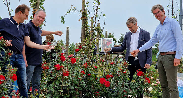 'Rosa Matchis' onthuld