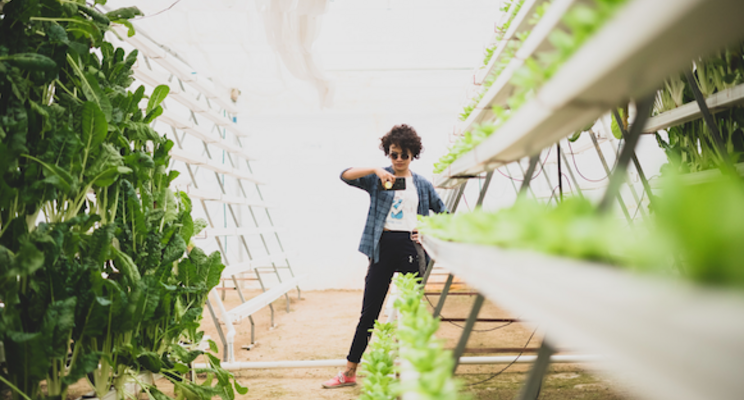 Vertical Farming Wednesday... refurbished containers