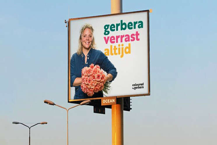 LinkedIn: Gerbera in het groot