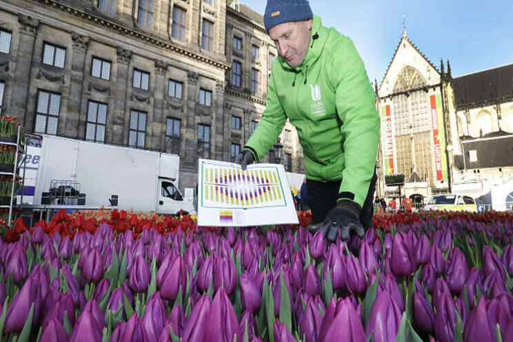 Aftrap tulpenseizoen weer op de Dam