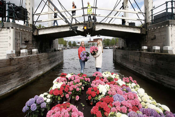 Bloemen in de gracht