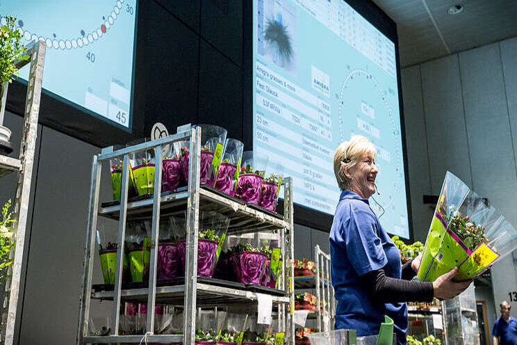 Enqute: brede kritiek op digitalisering FloraHolland