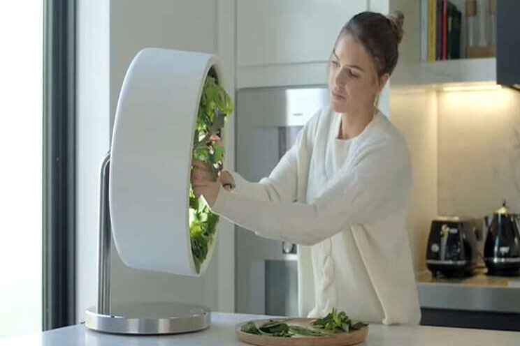 Video: 'Indoor farm' in je keuken