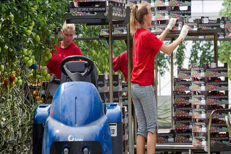 'Ook de tuinbouw wordt fors geraakt'