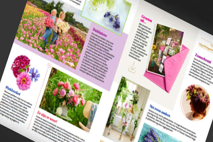 Zomerse editie magazine 365 dagen bloemen