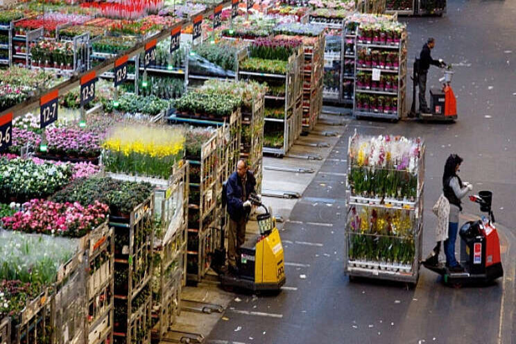 Corona-liveblog FloraHolland