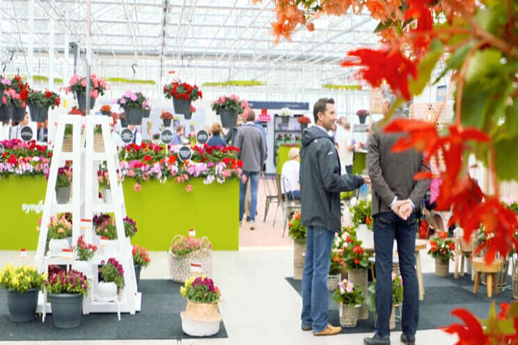 Syngenta annuleert deelname FlowerTrials