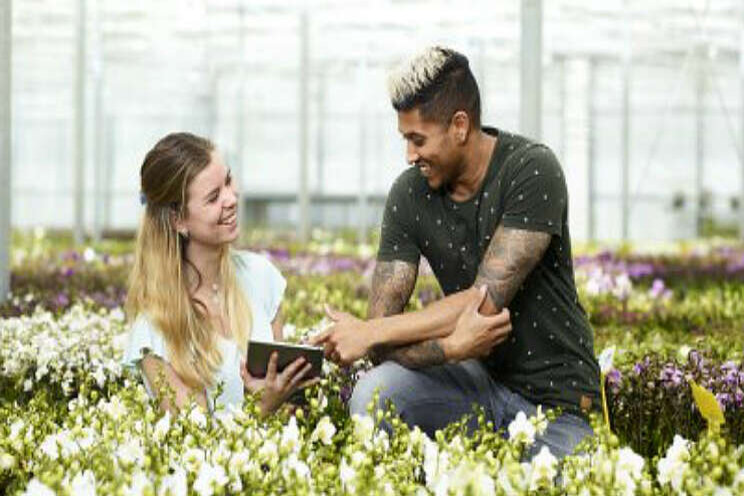 Meld je aan voor nieuwe kopersessies FloraHolland