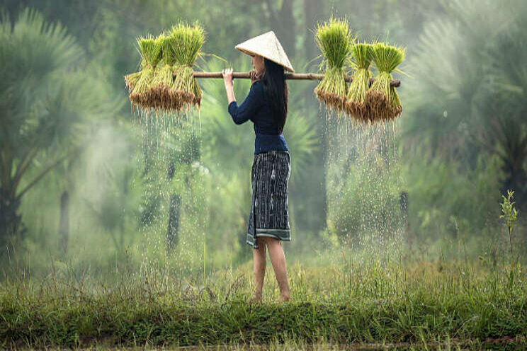 Akkoord Vietnam belangrijk tegen protectionisme