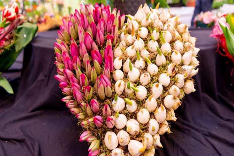 Valentijn-bloemenshow