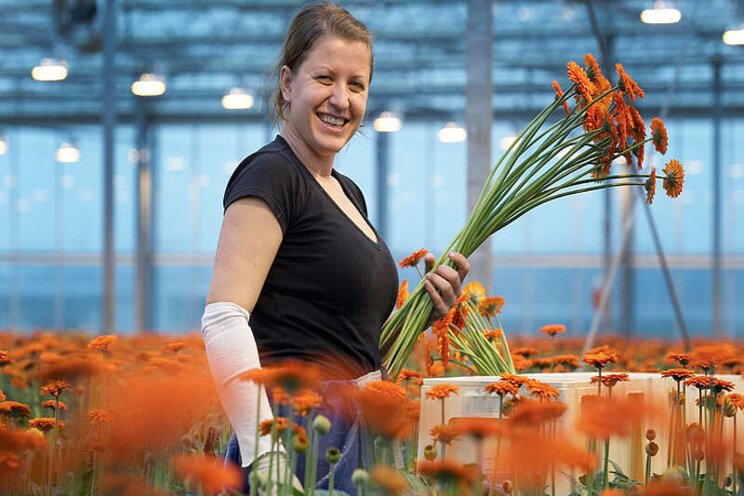 Etiketuitbreiding voor Botanigard en Fungaflash