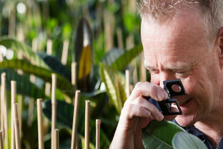 Jaaroverzicht Plantgezondheid