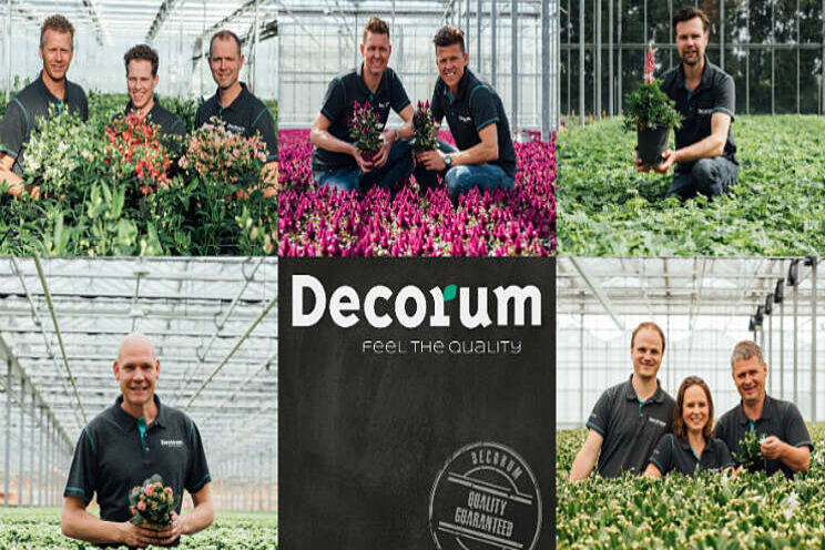 Veel nominaties Decorum voor Glazen Tulp Award